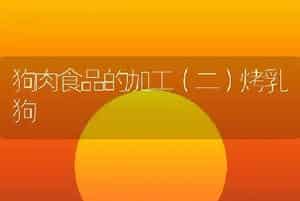 狗肉食品的加工（二）烤乳狗