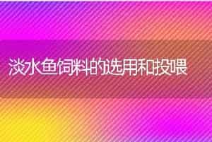 淡水鱼饲料的选用和投喂