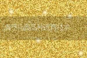 秋冬之际谨防猪流感