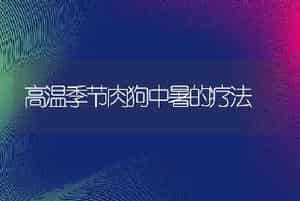 高温季节肉狗中暑的疗法