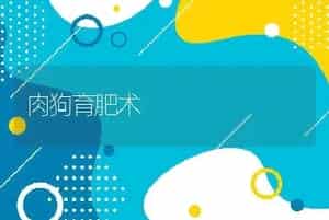 肉狗育肥术