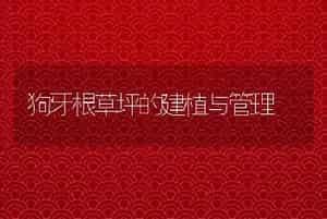 狗牙根草坪的建植与管理
