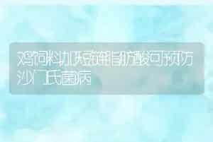 野猪(名词解释)