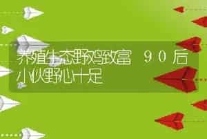 养殖生态野鸡致富 90后小伙野心十足