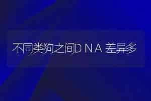 不同类狗之间DNA差异多