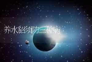 养水貂须防三种病