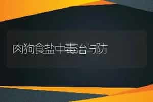 肉狗食盐中毒治与防