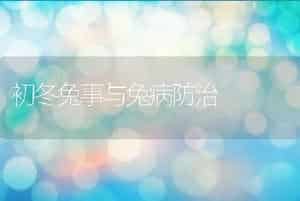 初冬兔事与兔病防治
