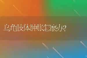 乌龟肢体肿胀怎麽办？