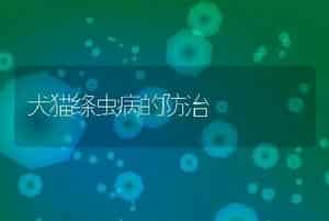 犬猫绦虫病的防治