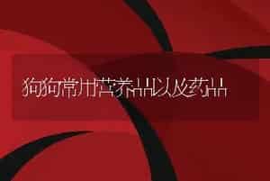 狗狗常用营养品以及药品