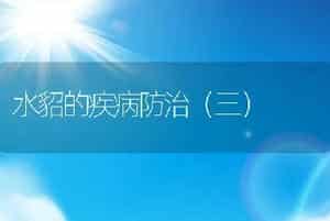 水貂的疾病防治（三）