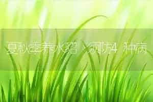 夏秋季养水貂 须防4种病