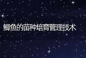 鳜鱼养殖之指环虫病防治技术