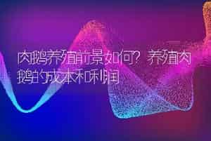肉鹅养殖前景如何？养殖肉鹅的成本和利润