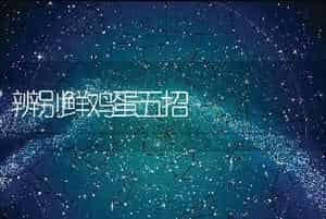 辨别鲜鸡蛋五招