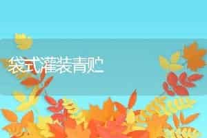 袋式灌装青贮