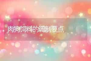 肉狗饲料的调制要点
