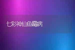 怎样圈怎样圈怎样圈养肉狗(肉犬) 养肉狗(肉犬)