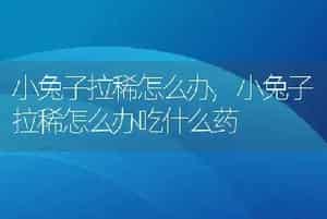 小兔子拉稀怎么办，小兔子拉稀怎么办吃什么药