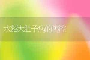 水貂大肚子病的防控