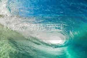 秋季水产养殖巧管理