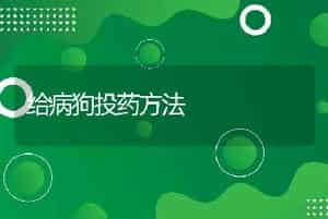 给病狗投药方法