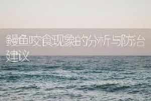 鳗鱼咬食现象的分析与防治建议