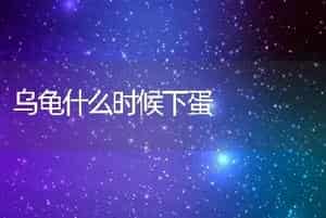 乌龟什么时候下蛋