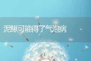 黄喉拟水龟幼龟的病害防治