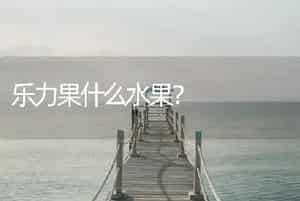 乐力果什么水果？