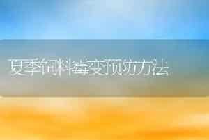 夏季饲料霉变预防方法