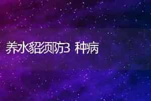 养水貂须防3种病