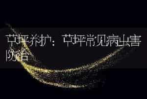 螃蟹人工育苗生产中的几项实用技术