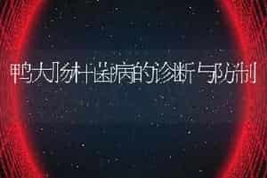 鸭大肠杆菌病的诊断与防制