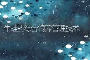 獭兔6种常见疾病的防治