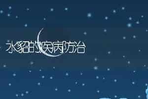 水貂的疾病防治