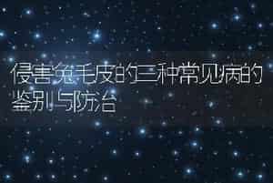 侵害兔毛皮的三种常见病的鉴别与防治