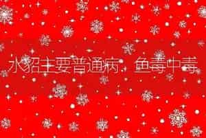 水貂主要普通病：鱼毒中毒