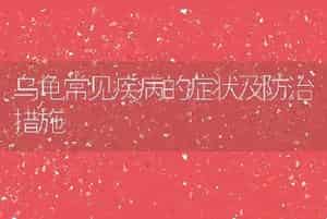 乌龟常见疾病的症状及防治措施