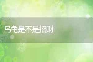 乌龟是不是招财
