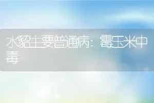水貂主要普通病：霉玉米中毒