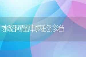 水貂阿留申病的诊治