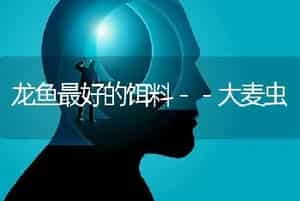 气温下降提防兔肺炎
