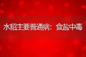 水貂主要普通病：食盐中毒
