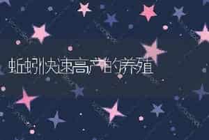 兔的疾病与防止－李氏杆菌病又名单核细胞增多症。