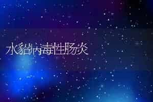 水貂病毒性肠炎