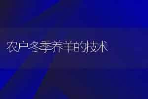 农户冬季养羊的技术