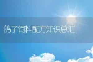 鸽子饲料配方知识总汇