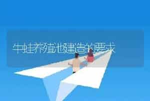 牛蛙养殖池建造的要求